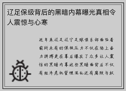 辽足保级背后的黑暗内幕曝光真相令人震惊与心寒 辽足保级背后的黑暗内幕曝光真相令人震惊与心寒